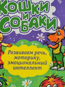 ЗвеРИКи. Птицы